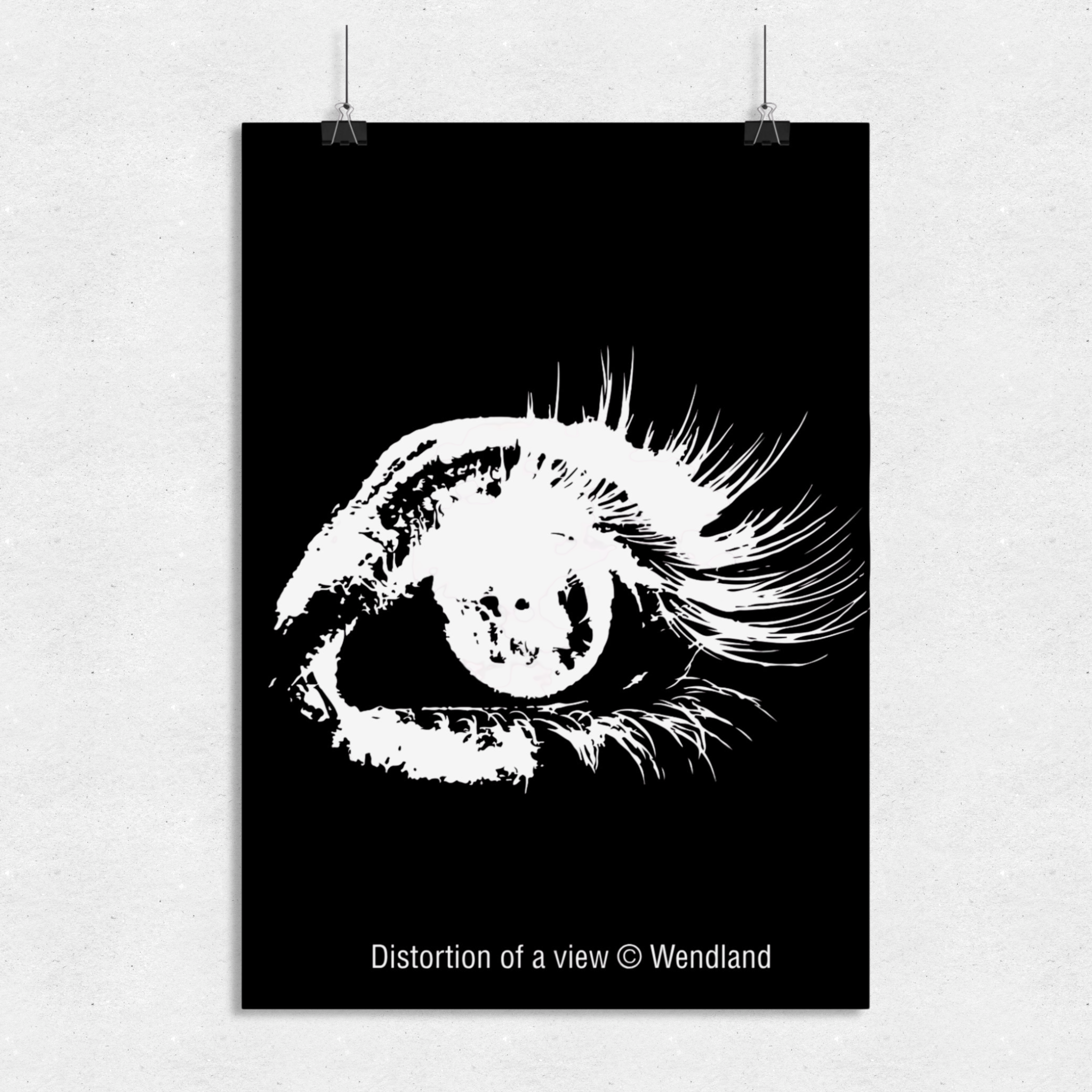 Distortion of a View