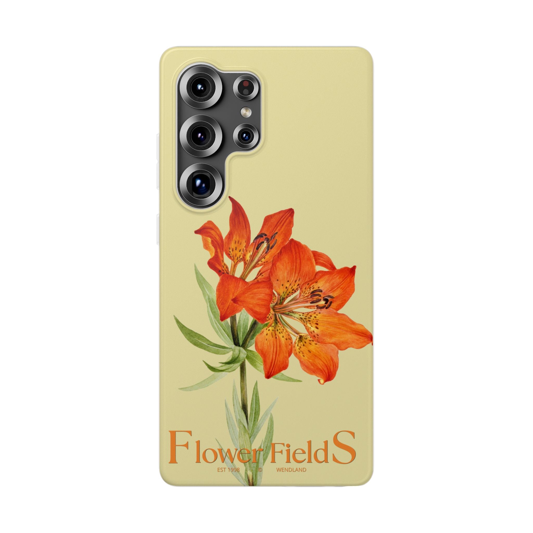Flower fields