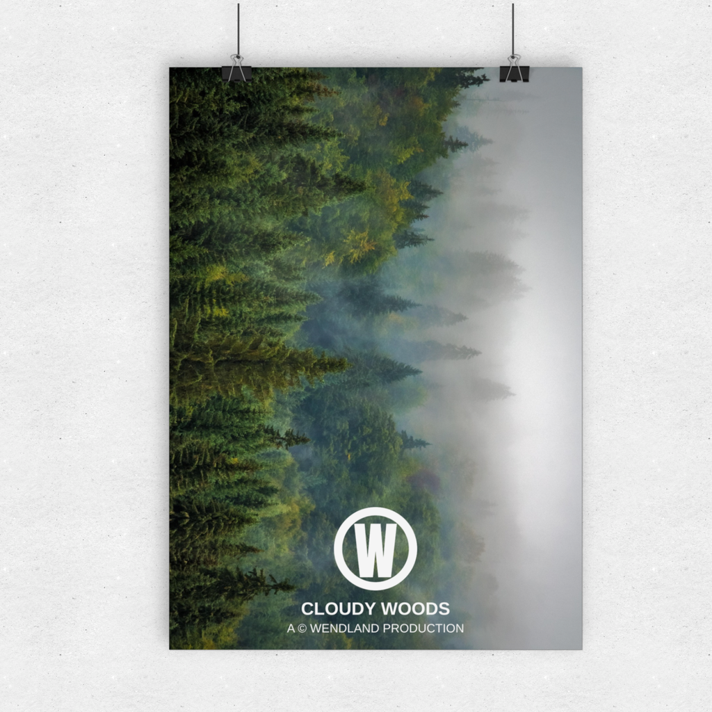 Cloudy woods