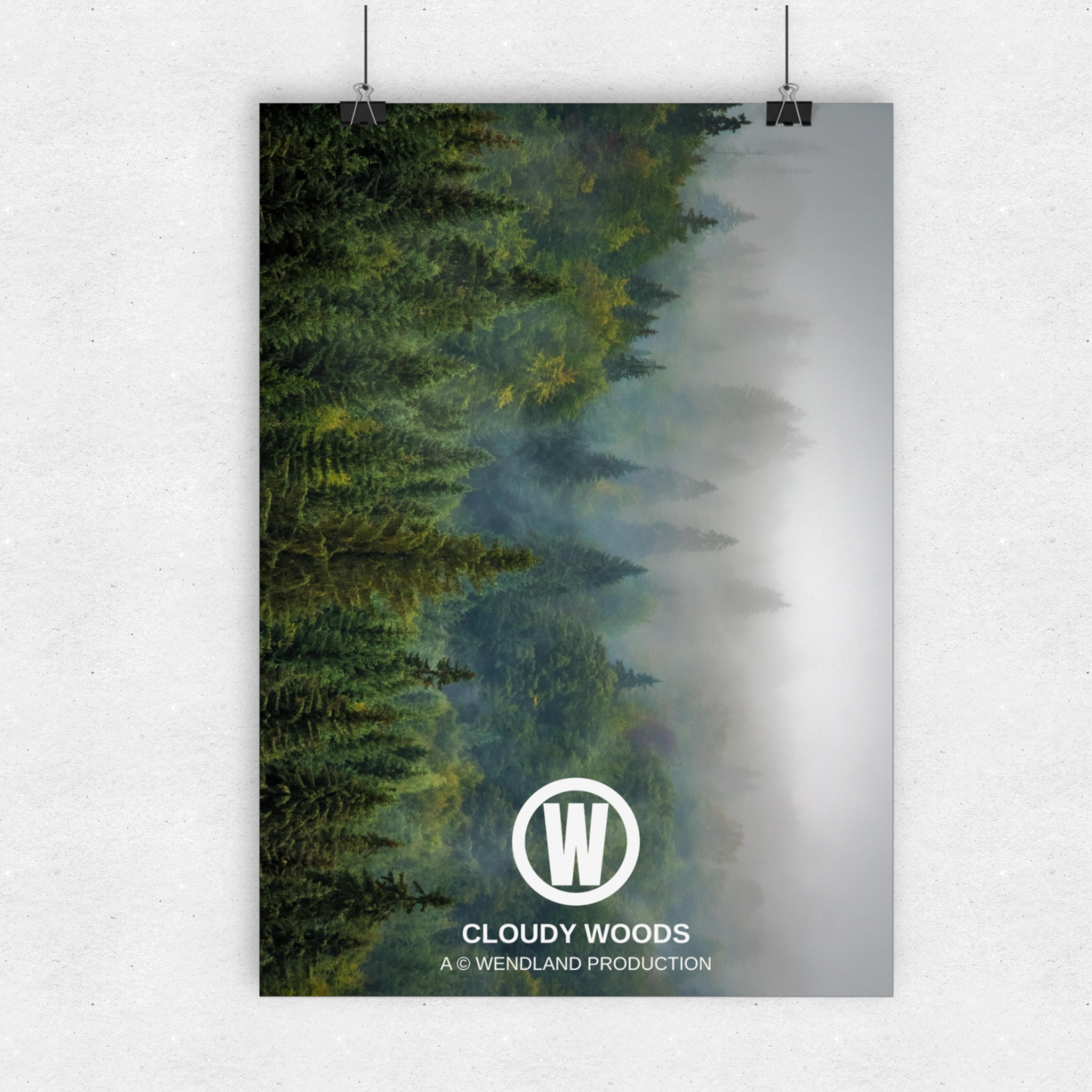 Cloudy woods