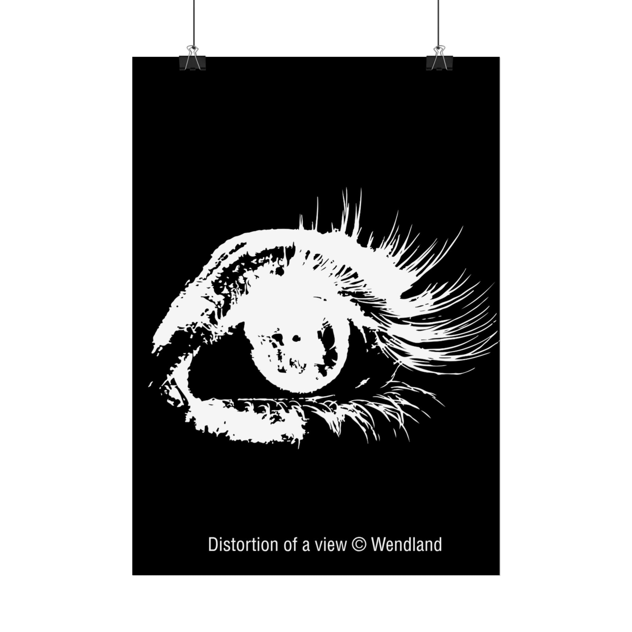 Distortion of a View